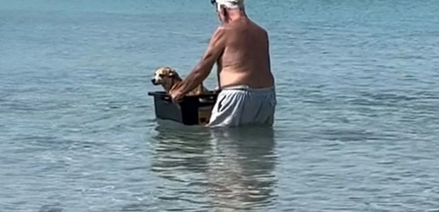 Viral ο ηλικιωμένος που κάνει... βαρκάδα τον σκύλο του